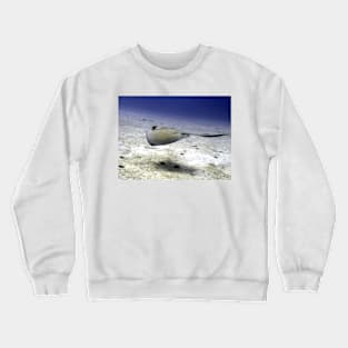 Sting Ray at Play Crewneck Sweatshirt